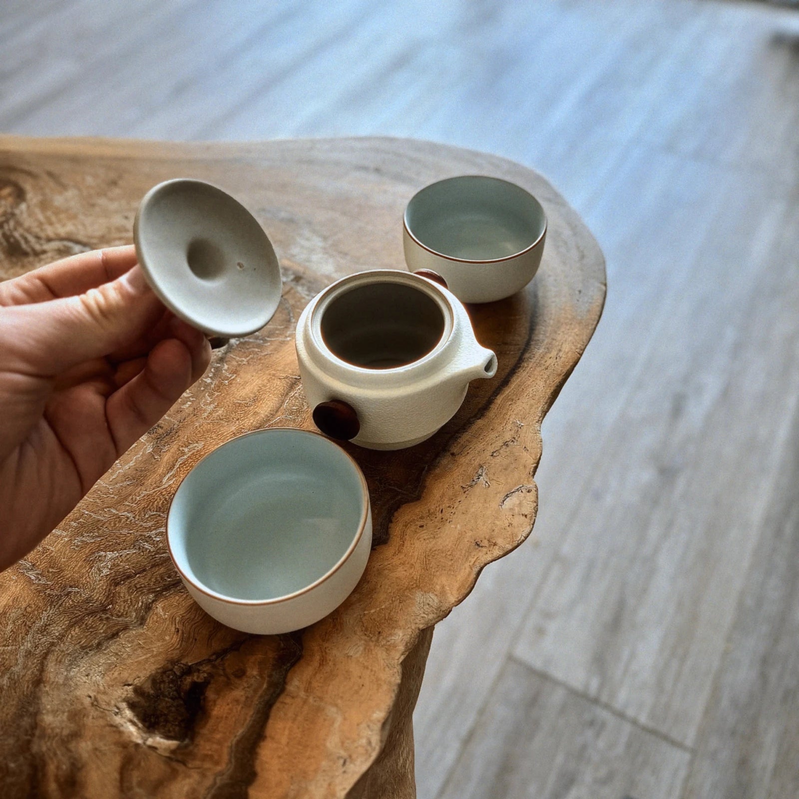 Portable gaiwan tea set for travel - ceramic gaiwan and cups with protective case
